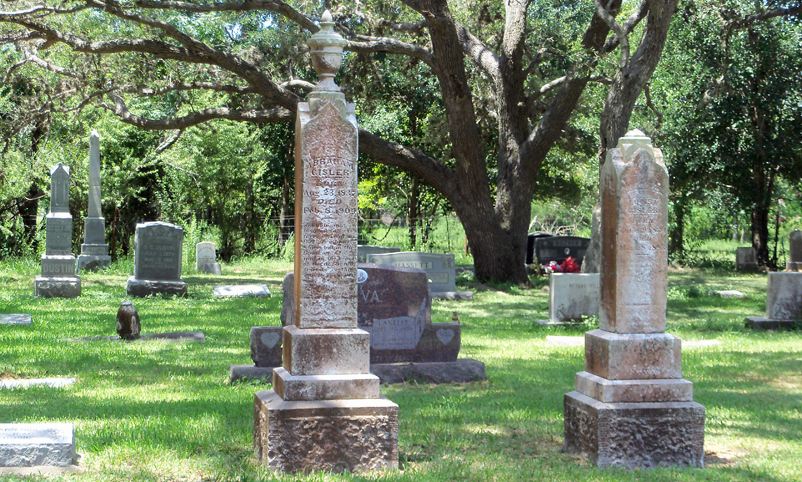 edna memory gardens 2